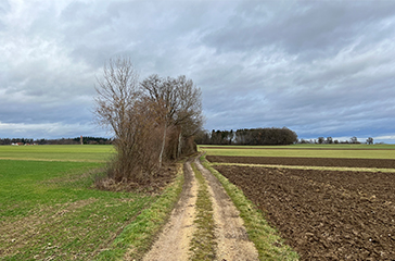 CutWheel for Gardening and landscaping